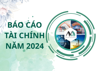BÁO CÁO TÀI CHÍNH CÔNG TY CP MÔI GIỚI BẢO HIỂM NAM Á NĂM 2024